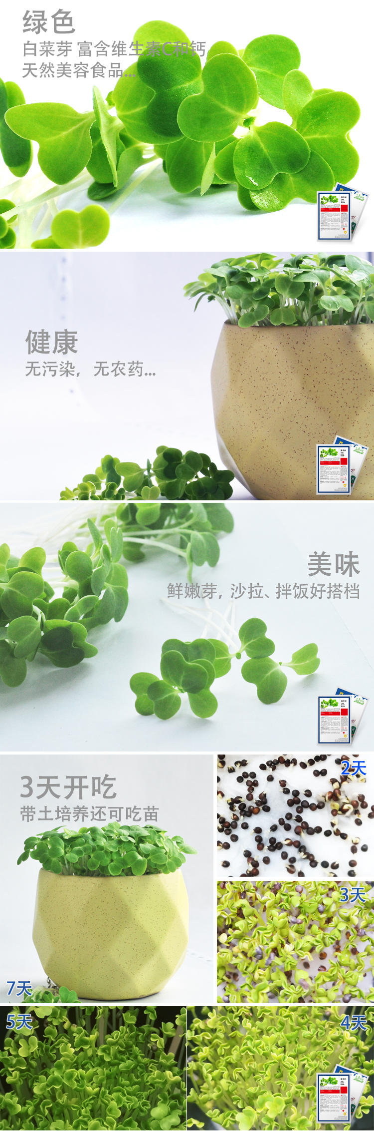 1614753009451167.jpg 白菜芽.jpg